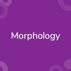 morphology