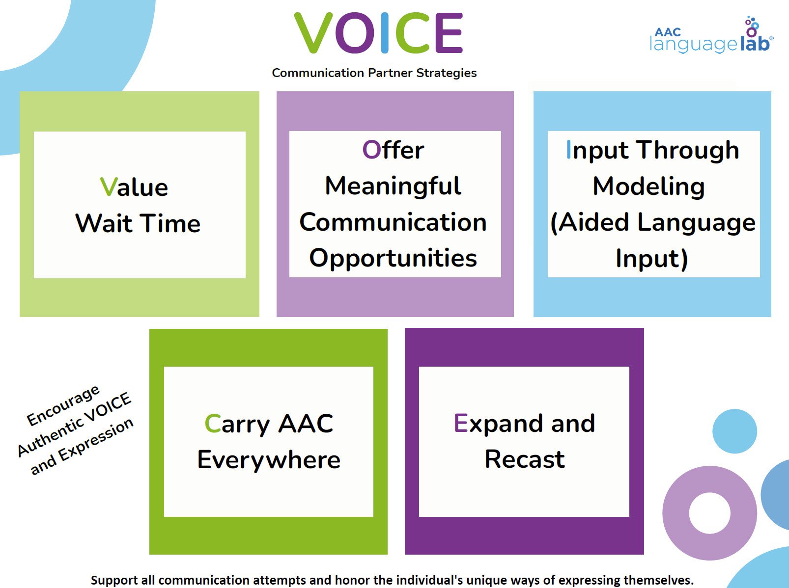 VOICE acronym for communication partner strategies
